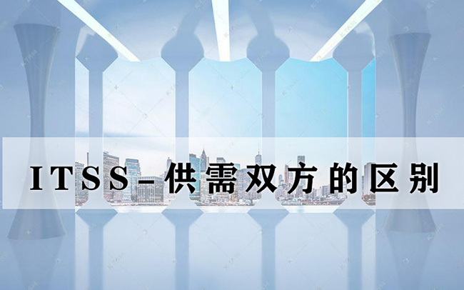 ITSS-供需双方的区别