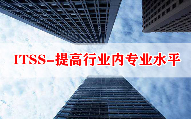 ITSS-提高行业内专业水平